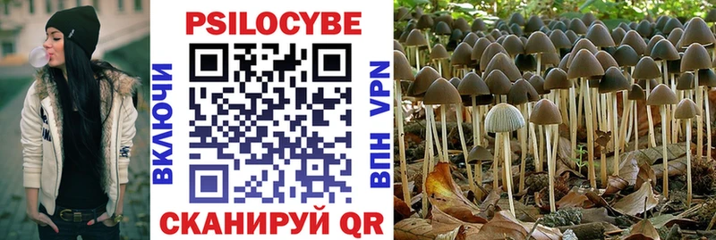 Галлюциногенные грибы Psilocybine cubensis Кстово